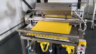 TECHTRON  Fully automatic beeswax foundation machine [upl. by Stromberg457]