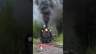 centovalli train centovalli train videos shorts viralvideo centovallitrain [upl. by Aroz]