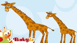 Giraffe  Animal Sounds and Names for Kids amp Toddlers BabyTV [upl. by Gerek]