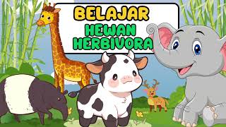 Mengenal Hewan Herbivora  Hewan Pemakan Rumput [upl. by Erodavlas]