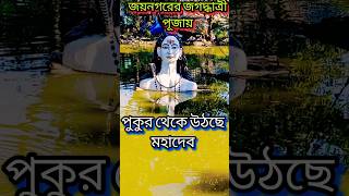 Jagadhatri Puja 2024।Chandannagar।Kumartuli Jagadhatri Thakur 2024।Jaynagar।shorts viralvideo [upl. by Sholeen]