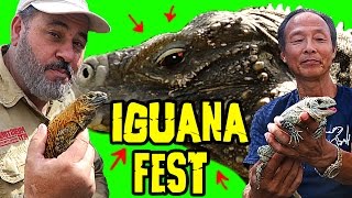 Reptile Room Tour of RAREST IGUANAS ON EARTH [upl. by Concettina]