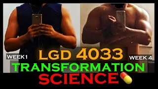 My LGD 4033 Transformation  How to take Ligandrol  Studies Results Side Effects Review [upl. by Eynahpets]