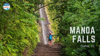 A Quick Guide on Hiking Manoa Falls in Oahu Hawaii [upl. by Treborsemaj]