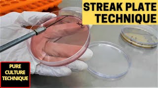 Streak Plate Technique for The Isolation of Pure CultureA Complete Procedure Microbiology [upl. by Ecinerev]