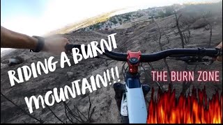 INSANE FREERIDING DOWN A FULLY BURNT MOUNTAIN HARD CRASH [upl. by Kisor]