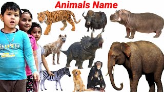 Animals Video  Learn Animals Name in English  Cow Dog Deer Gorilla Ox  Education Video  cow [upl. by Lennad]