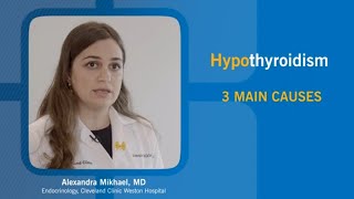 What Causes Hypothyroidism [upl. by Dru633]