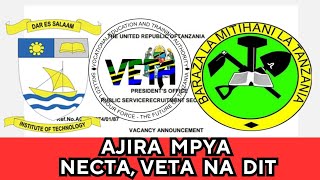 TANGAZO LA AJIRA 166 KUTOKA NECTA VETA NA DITAJIRA NECTA  AJIRA MPYA VETA 2024 necta [upl. by Selmner]