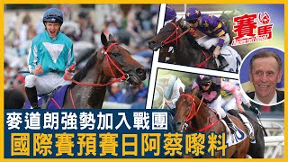 11月17日HKJC沙田日馬國際賽前哨戰 麥道朗再拍浪漫勇士鬥遨遊氣泡！蔡約翰火力全開 一起美麗拍布文搏殺！潘頓嘉應高昇再鬥加州星球 三班玩笑唔大家講笑！CC中文字幕賽馬FactCheck [upl. by Nehgem]