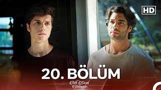 Tatlı Küçük Yalancılar 20 Bölüm FULL HD [upl. by Eisseb]