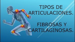 Tipos de articulaciones Fibrosas y cartilaginosas [upl. by Llednohs879]