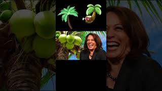 Coconut tree song  Kamala Harris remix [upl. by Ford645]