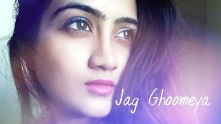 Jag Ghoomeya  Unplugged  Sultan  Salman khan  Amika Shail Female Cover [upl. by Utir]