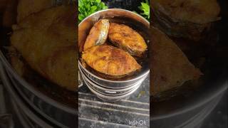 Todays lunch box  vanjaram fishfry fish kulambu dragon fruit ytshorts viralvideo trending [upl. by Lletnuahs157]