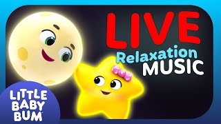 🌙 Sleepy Time Sensory Relaxation with Twinkle 💤 Calming Sounds for Kids [upl. by Yasnil]