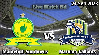 Mamelodi Sundowns Vs Marumo Gallants Live Match Scores [upl. by Elwee]