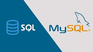 How to Connect to MySQL Server amp Run SQL Queries from VSCode MySQL in Visual Studio Code  Part 4 [upl. by Neenahs667]