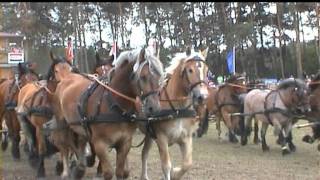 ZEHNSPÄNNERTITANEN DER RENNBAHN 2011 [upl. by Naened337]