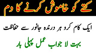 Dam jo har qism ke janwar se hifazat krta h  Damm karne ka tariqa  Best wafia in urdu [upl. by Howey]