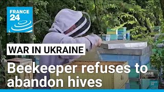 Ukrainian beekeeper refuses to abandon hives as Russian troops advance • FRANCE 24 English [upl. by Price162]