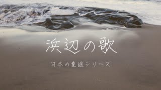 【フルート演奏】高音質 浜辺の歌【演奏してみた】 [upl. by Annhej]