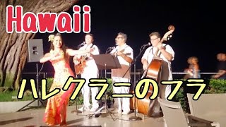 【ハワイ】ハレクラニ／フラ≪Halekulani Hula Show≫ [upl. by Eadmund163]