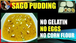 SAGO PUDDING RECIPE  SAGO RECIPE  SAGO DESSERT RECIPE [upl. by Nadroj502]