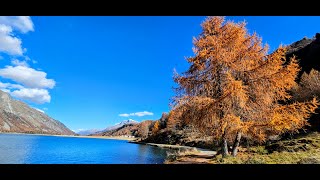 Maloja GR Silsersee Oktober [upl. by Pacificia]