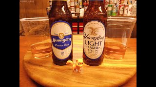 Yuengling Light Lager 40 Vs Yuengling Premium Light 35  Taste Challenge Thursday [upl. by Melise]