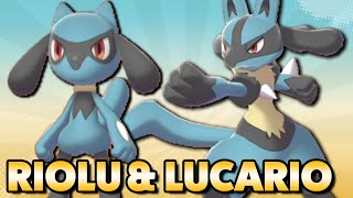 ❄️ Riolu fangen und entwickeln 🥊 Lucario fangen in Pokemon Schild und Schwert 🏅 Fundort  Attacken [upl. by Nidya909]