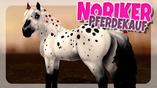 NORIKER PFERDEKAUF 🐴  Star Stable SSO [upl. by Sadick]