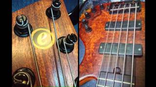 Elrick Gold Series EVolution 5String 35quot Bass Guitars Bartolini NTMB electronics Wengè neck [upl. by Araik]