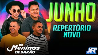 Os Meninos de Barão  Junho 2024  Repertório Novo  São João 2024  Músicas Novas [upl. by Atterehs]