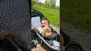 Happy Baby Laughs at Blowing Dandelions baby babyboy laughingbaby happybaby [upl. by Petersen]