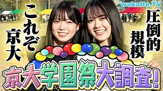 【さすが京大】学園祭「11月祭」に潜入！クセがすごいサークルからふーみん激推しのアイドルも！【wakatte TV】983 [upl. by Tamara]