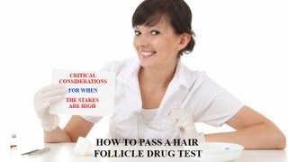 Hair Follicle Drug Test Pass a Drug Test Effects of Bleaching and Coloring Hair [upl. by Sonya]