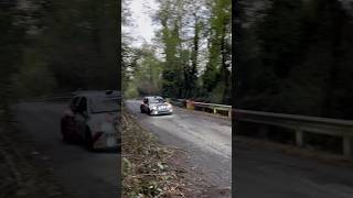 Clio s1600 🫶🏻 renaultsport rallydellalanterna rally race clios1600 sound motorsport speed [upl. by Vasta549]