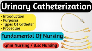 Catheterization Procedure Nurses Lecture [upl. by Rybma]