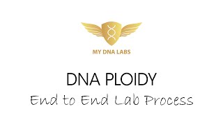 DNA Ploidy End to End Lab Process [upl. by Birk564]