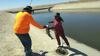 De pesca con Francisco en el acueducto de bakersfield [upl. by Eyahc]