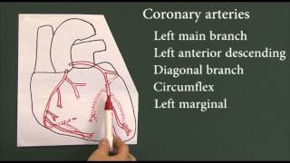 Heart disease 9 Coronary arteries [upl. by Karney]