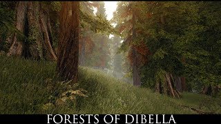 Skyrim SE Mods Forests of Dibella [upl. by Ainotahs]