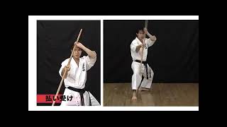 Kyokushin Kan  Kihon Bo Bo Basics [upl. by Ballou]