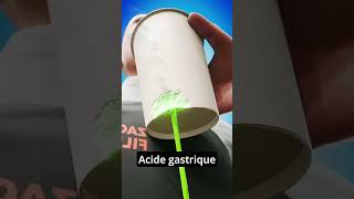 acide gastrique info science france trending history [upl. by Bright]