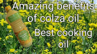 AMAZING BENEFITS OF COLZA OIL  HEALTHY OIL FOR BABY WITH OMEGA3 amp OMEGA9 [upl. by Kotick]