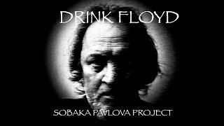 Sobaka Pavlova Project  Drink Floyd [upl. by Baalman932]