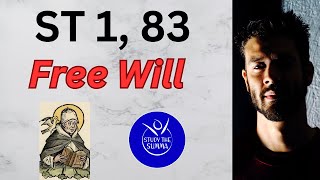 Study the Summa ST 1 83 Of Free Will [upl. by Garlen255]