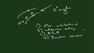 Principles and Use of Doppler Flow Velocimetry in OB Part 1 [upl. by Plusch]