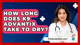 How Long Does K9 Advantix Take to Dry  PetGuide360com [upl. by Fritzsche]